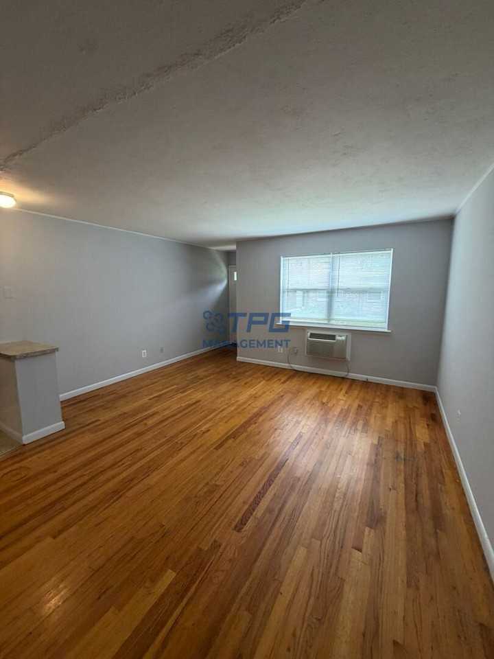 239 Spring St #B7 - Photo 3 of 6