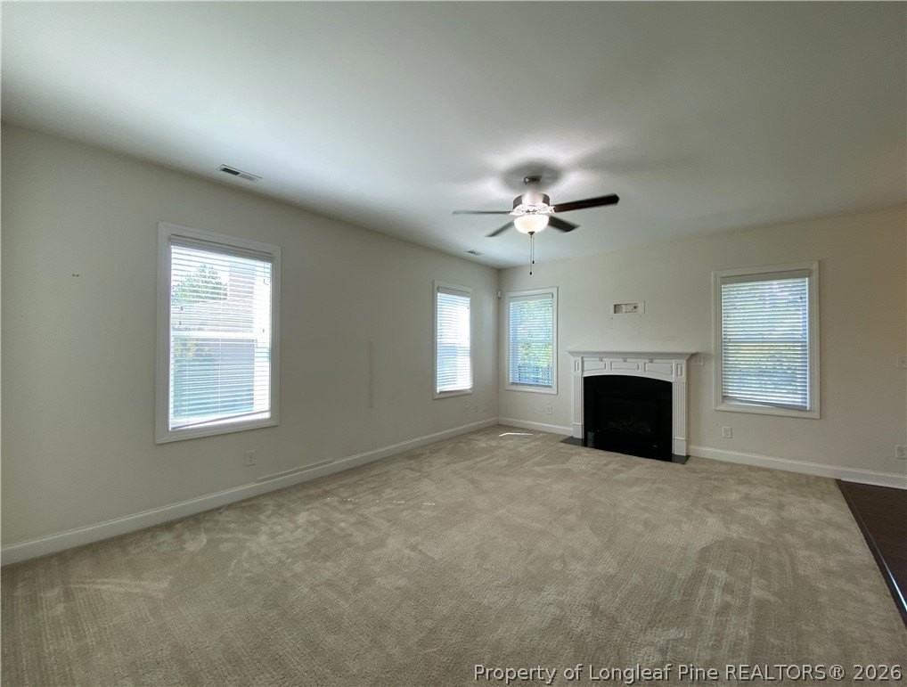 72 Wildlife Bridge Ct - Photo 2 of 20