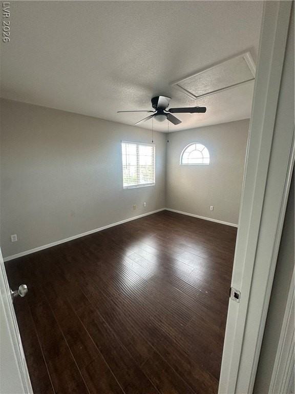 229 Paradise Bird St - Photo 5 of 10