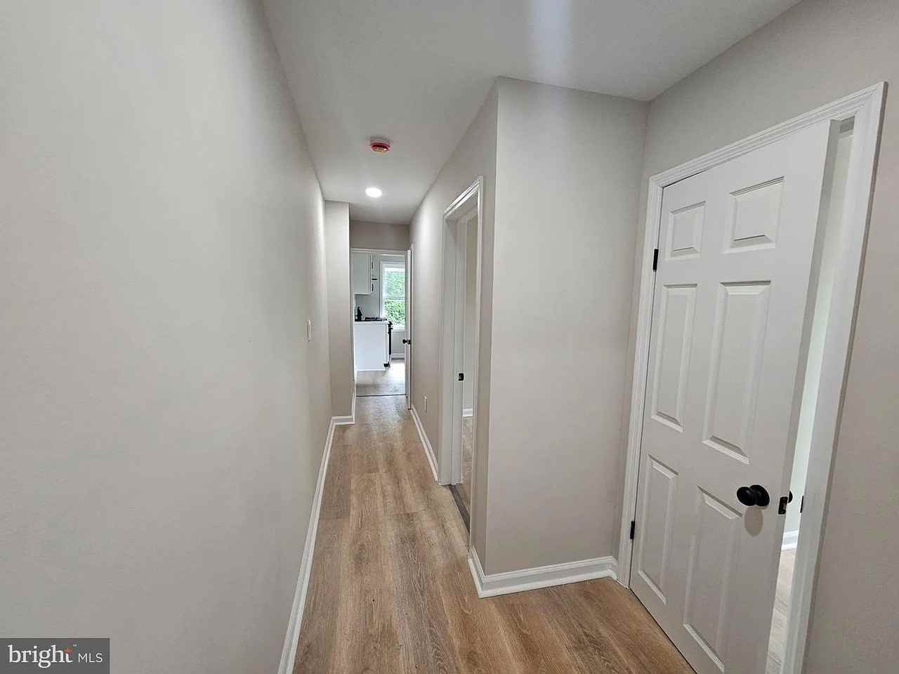 29 Marion St #2 - Photo 7 of 29