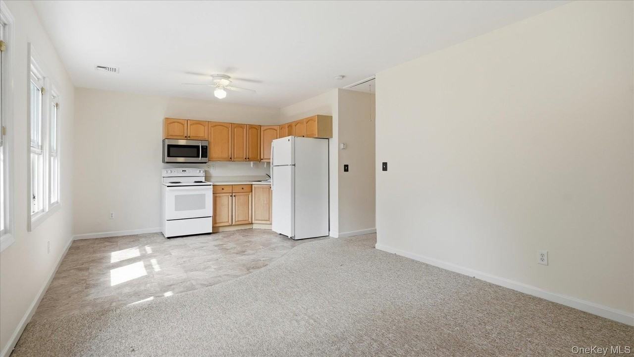 455 Moriches Rd - Photo 5 of 23