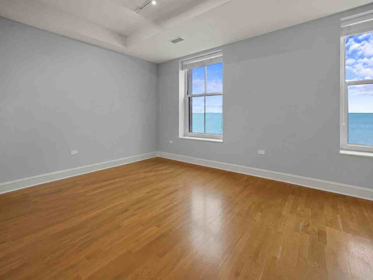 850 N Lake Shore Dr #203 - Photo 7 of 14