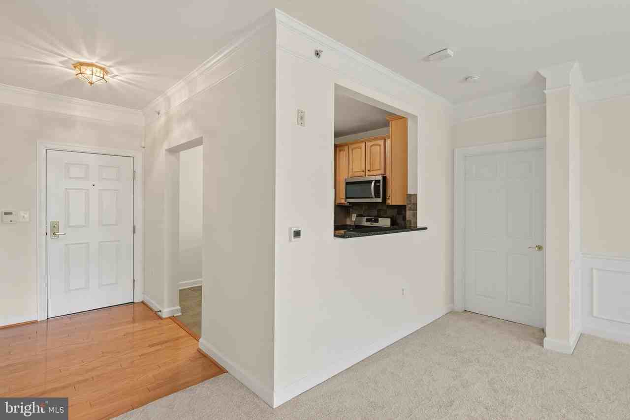 44485 Chamberlain Ter #303 - Photo 4 of 42