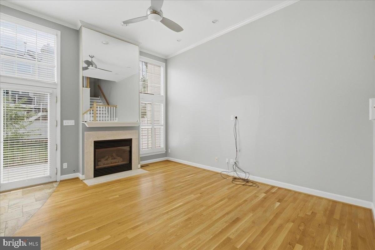 10249 Winged Elm Cir - Photo 6 of 34