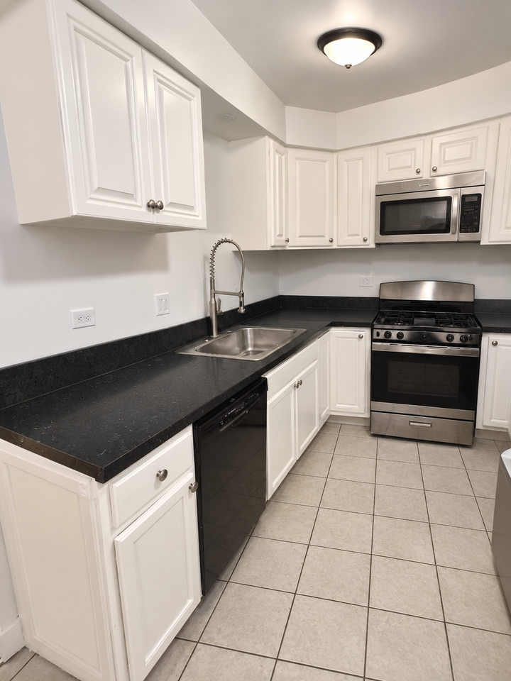 6969 N Ashland Blvd #205 - Photo 7 of 20