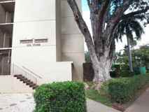 1550 Punahou St #308 - Photo 1 of 1