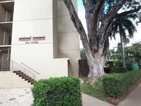 1550 Punahou St #308 - Photo 1 of 1