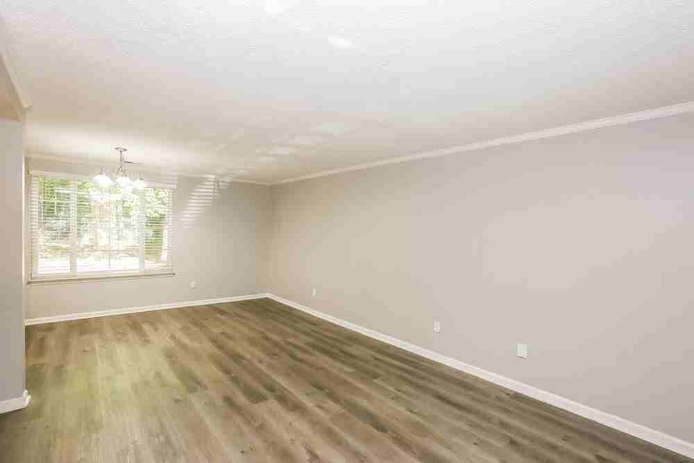 6204 Judas Tree Ln - Photo 5 of 16