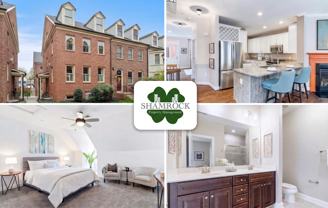 42 Maxwell Sq #1 - Photo 1 of 1