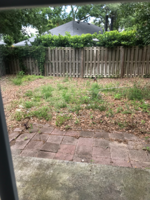 202 Island Dr - Photo 4 of 16