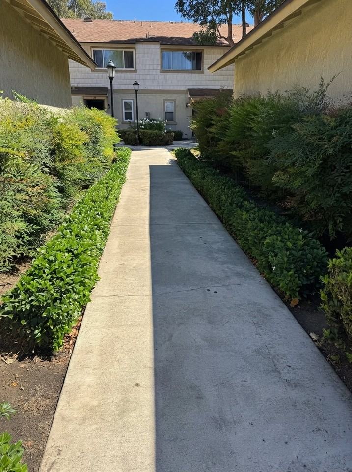 1031 S Palmetto Ave #U9 - Photo 2 of 16