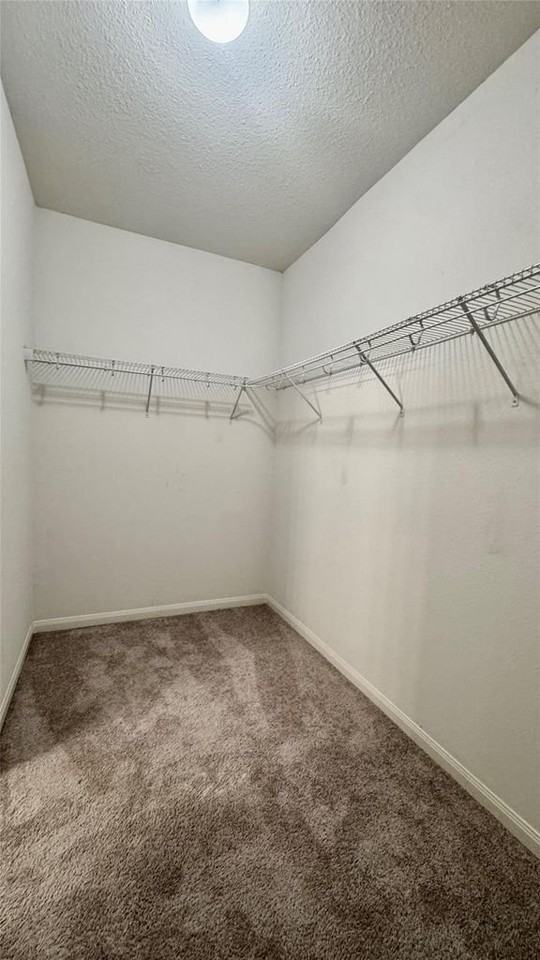 12019 Quartersawn Ln - Photo 5 of 6