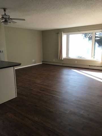 3124 40 St Sw Uppr - Photo 5 of 24