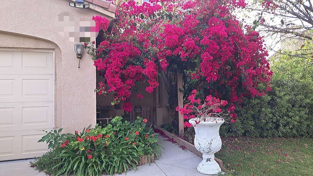 36420 Cougar Pl - Photo 3 of 13