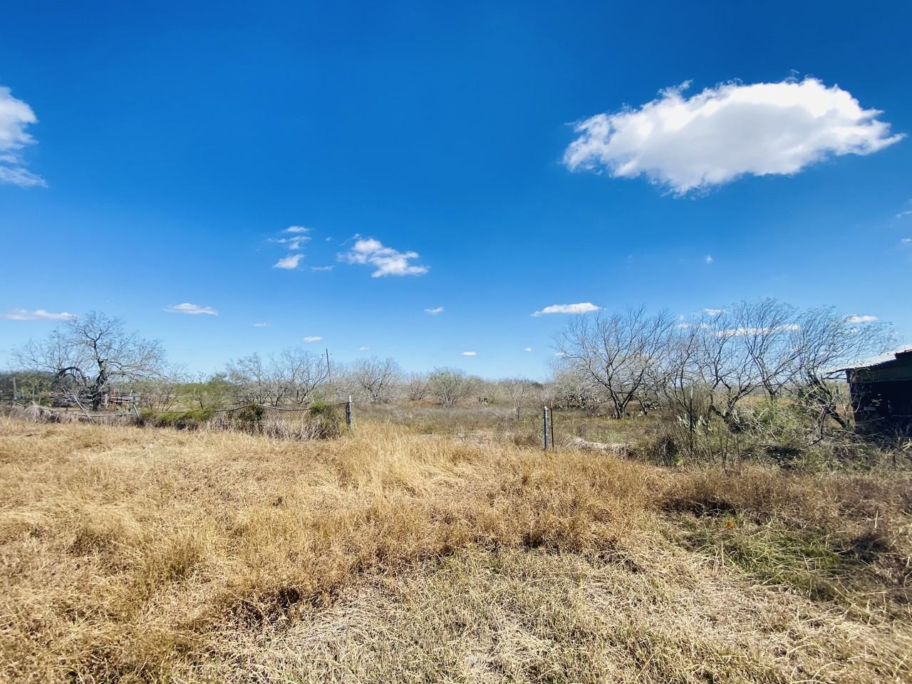 27677 Nelson Rd #NA - Photo 3 of 12