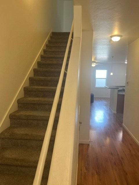 613 Zenith Ln - Photo 3 of 8