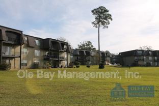 233 Riverbend Dr #205 - Photo 1 of 1