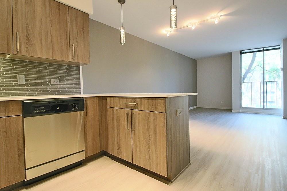 903 S Ashland Ave - Photo 6 of 15