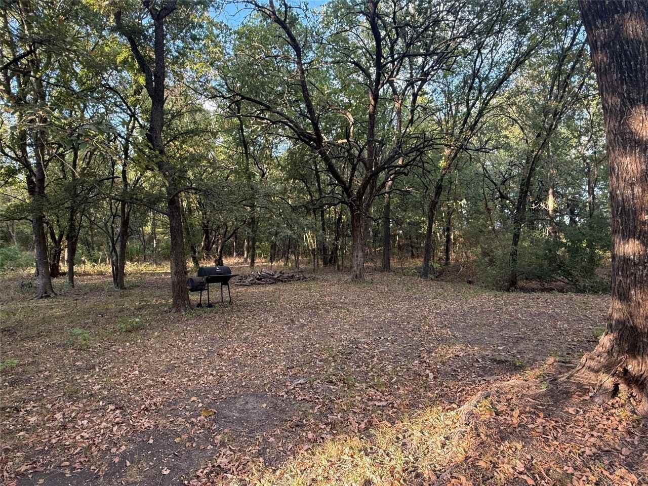 288 County Road 4430 - Photo 6 of 22