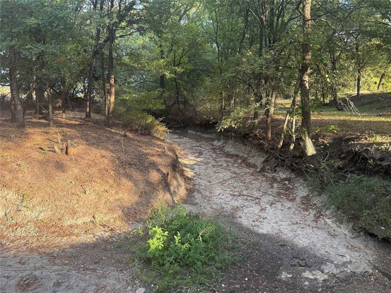 288 County Road 4430 - Photo 7 of 22