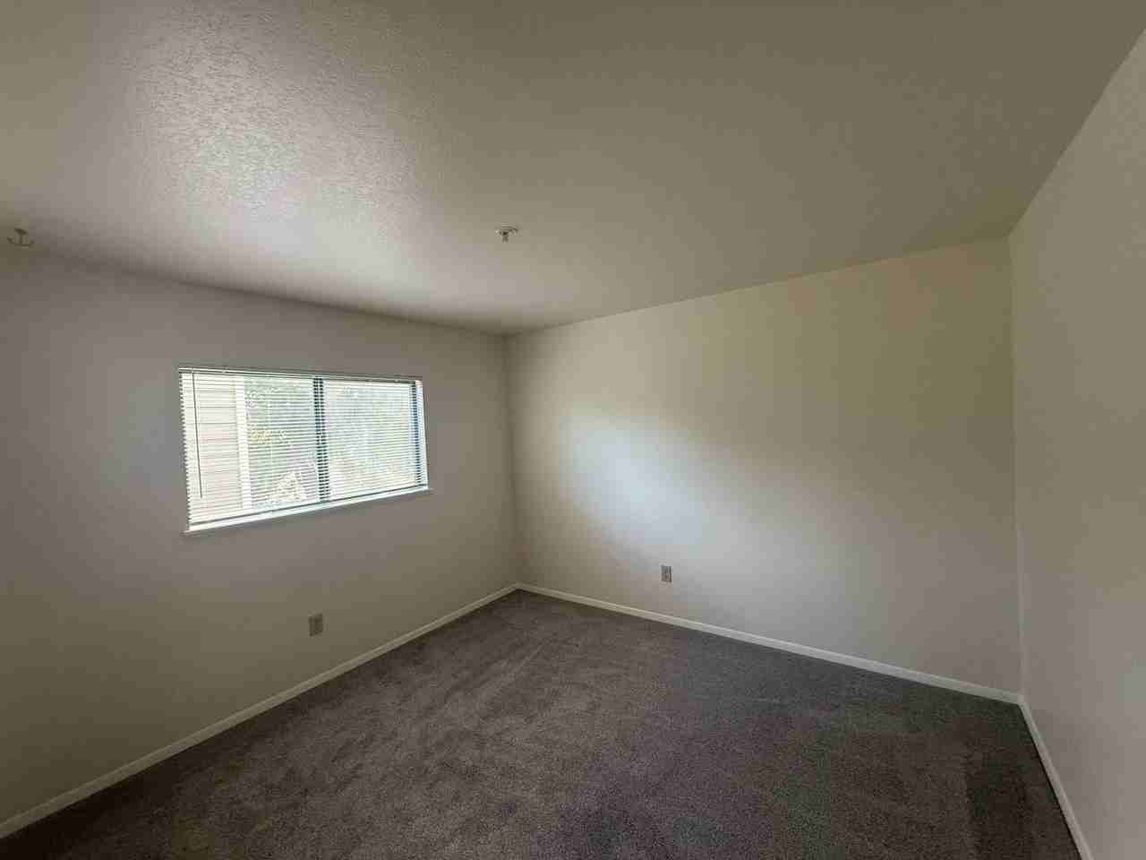 5520 Stonewall Pl - Photo 7 of 10