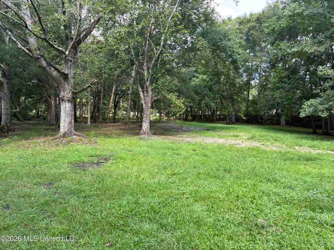 8629 Highway 613 - Photo 3 of 8