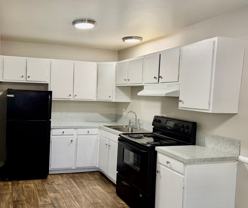 Cedar Arms Apartments - Photo 1 of 1