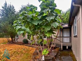 featured image of 640 Se Crystal Lake Dr