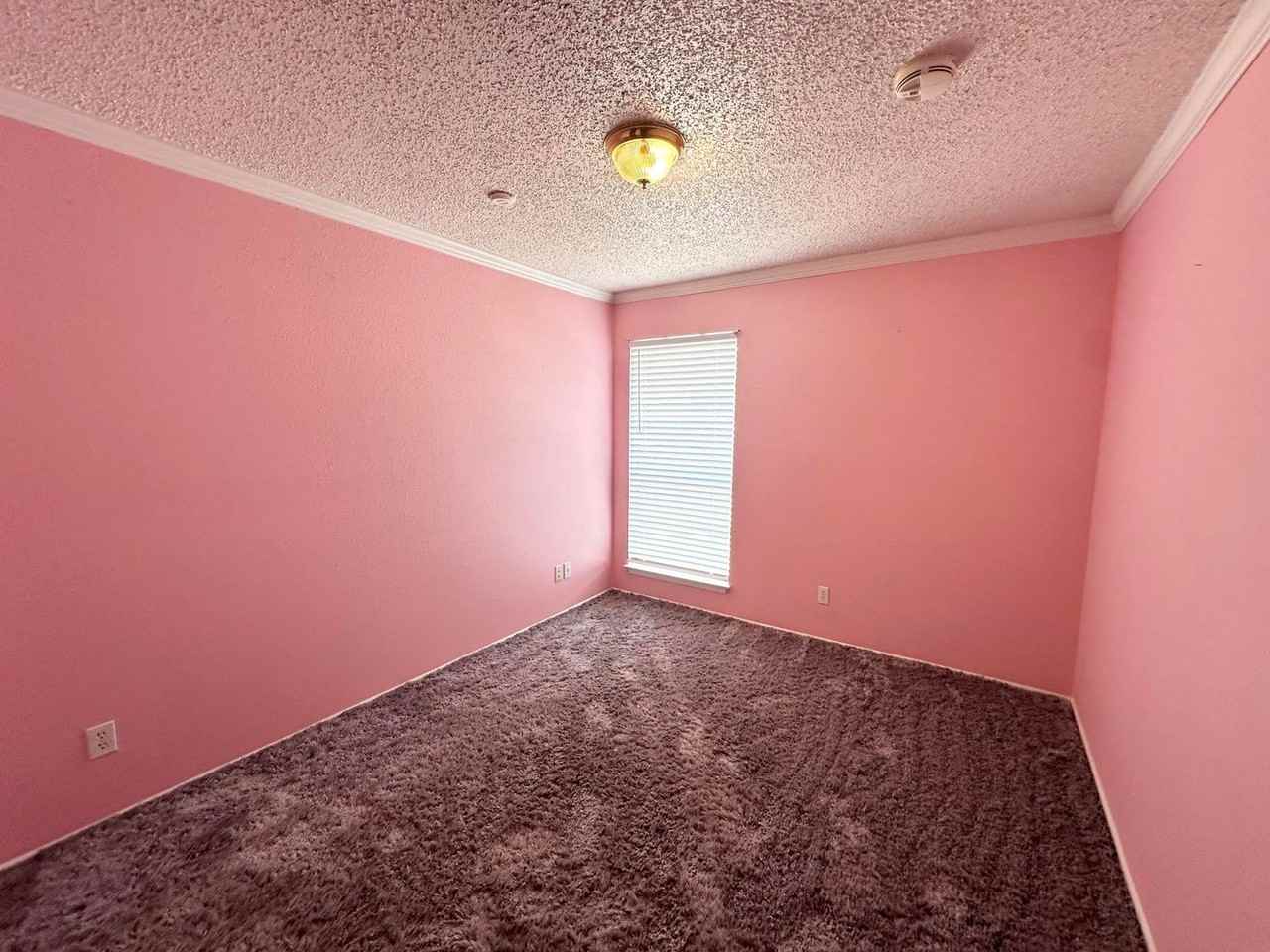 5104 Belaire Dr - Photo 7 of 13