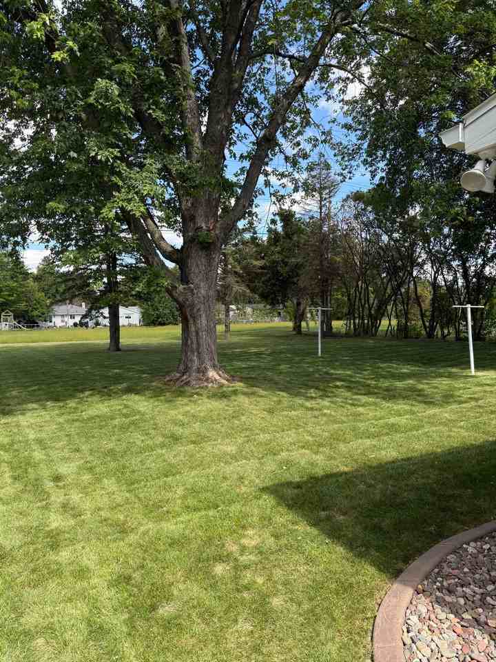 824 E Sylvan Ave - Photo 5 of 18