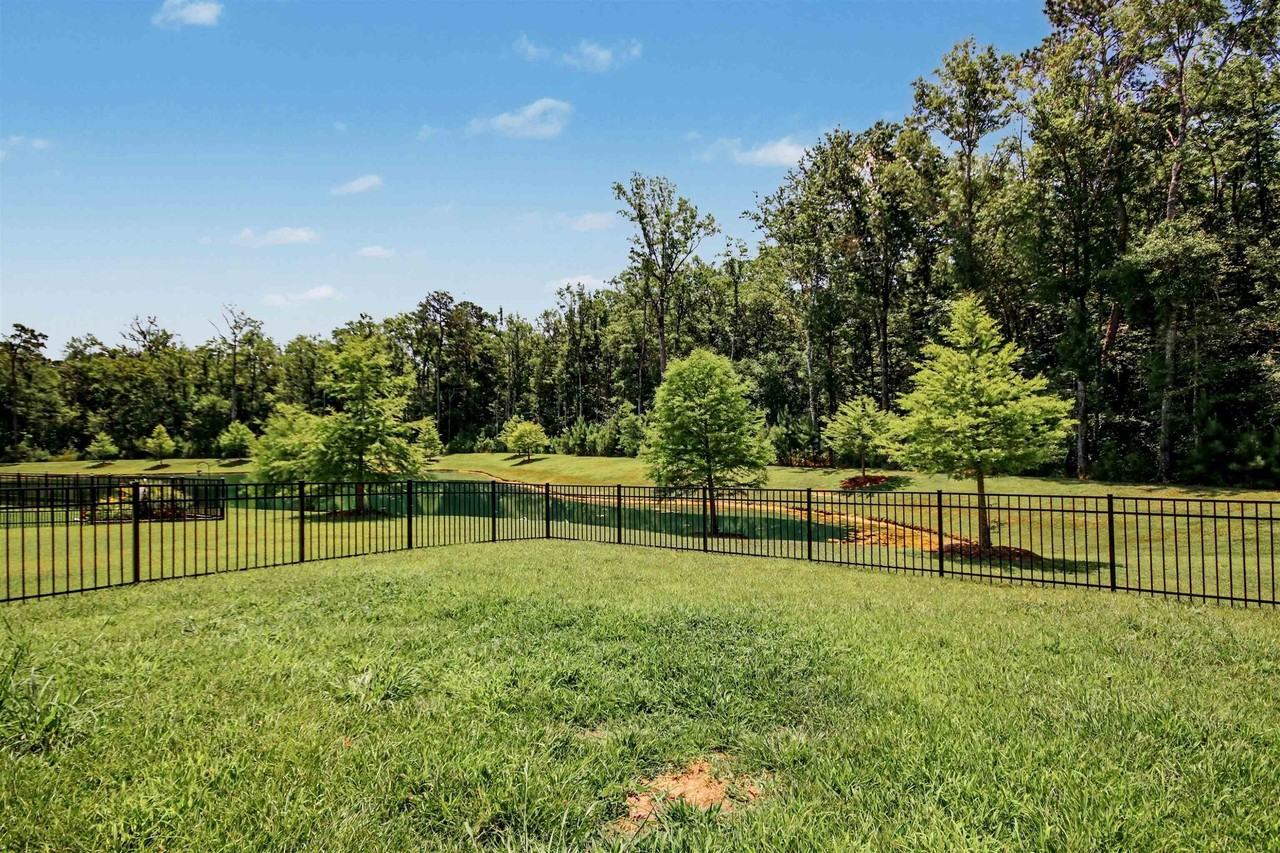 2223 Blue Crane Cir - Photo 3 of 45