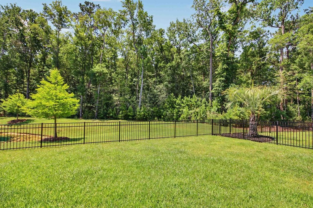 2223 Blue Crane Cir - Photo 4 of 45