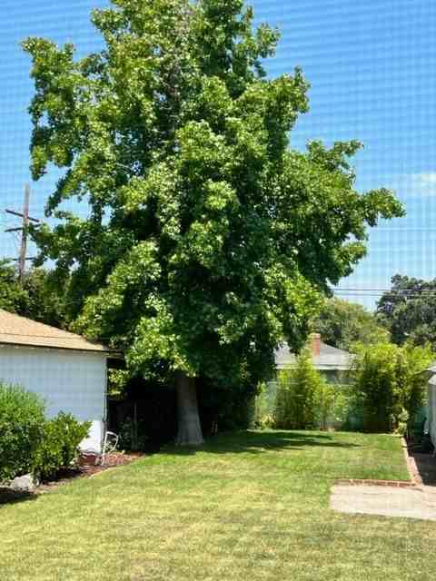 2442 Vista Laguna Ter - Photo 2 of 9