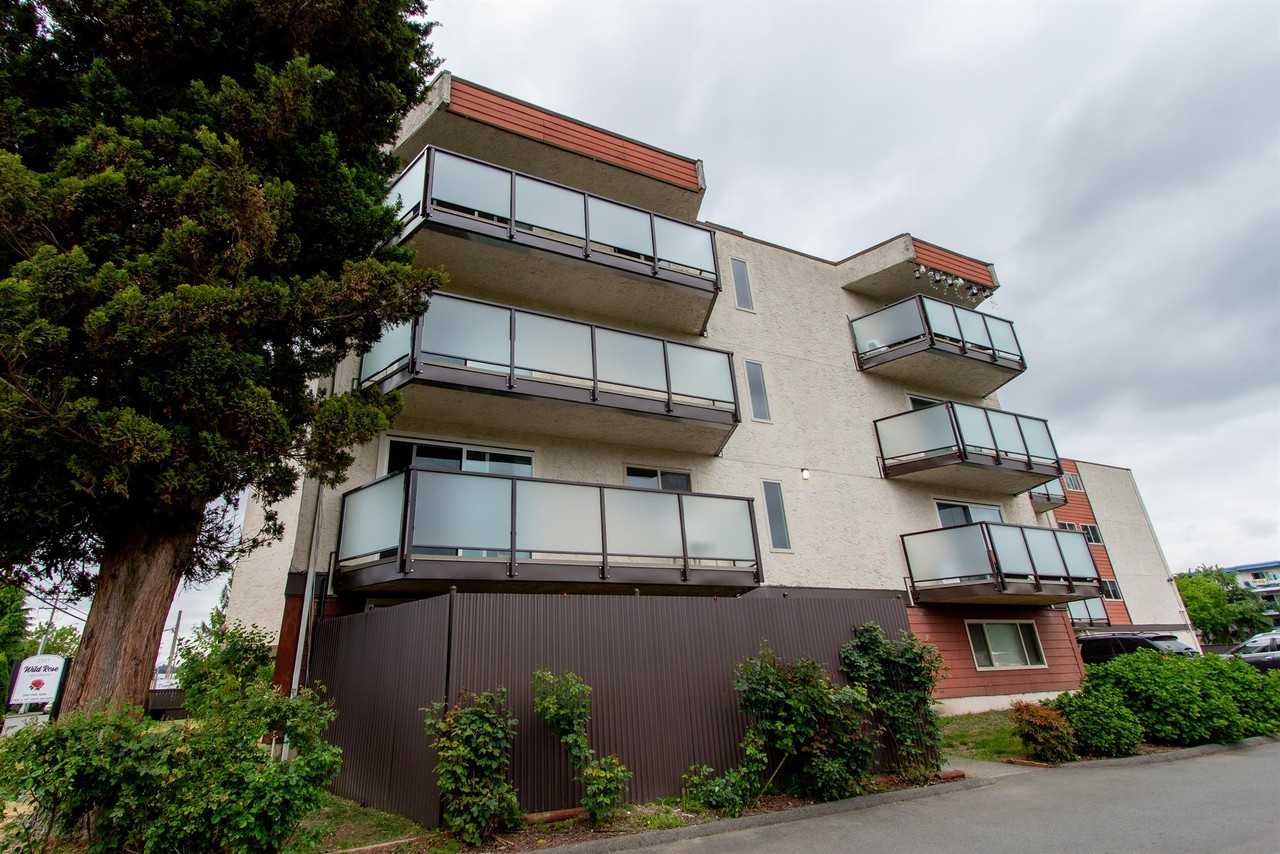 Wild Rose Apartments - Photo 6 of 15