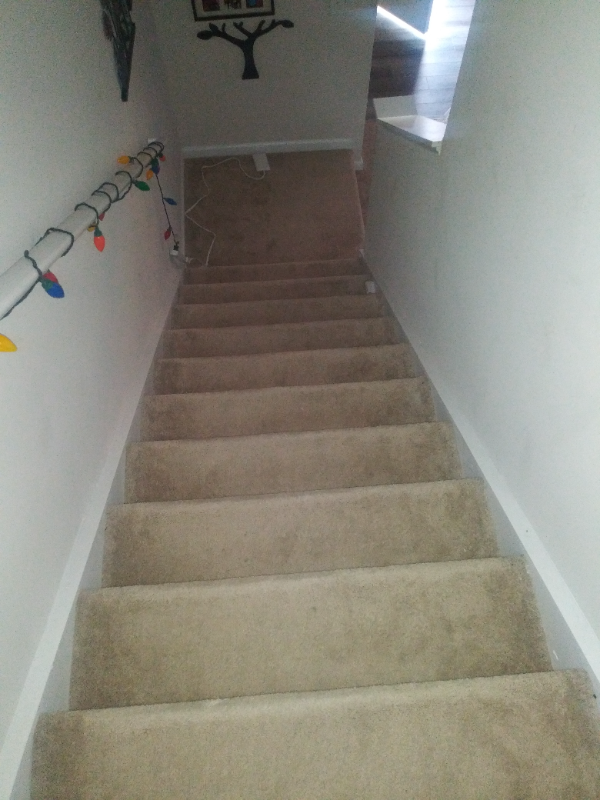 165 Crownpiece St - Photo 5 of 10