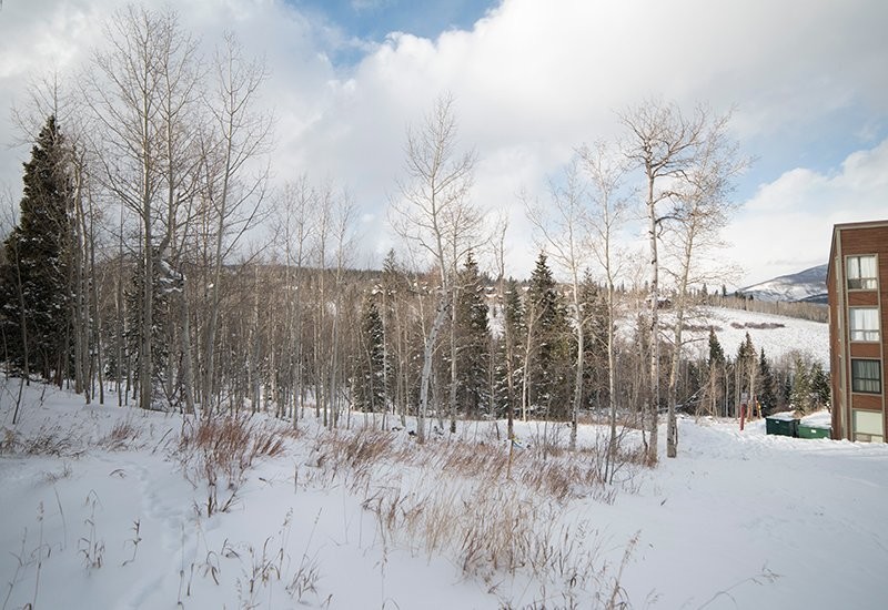 29 Ryan Gulch Rd #120 - Photo 6 of 7