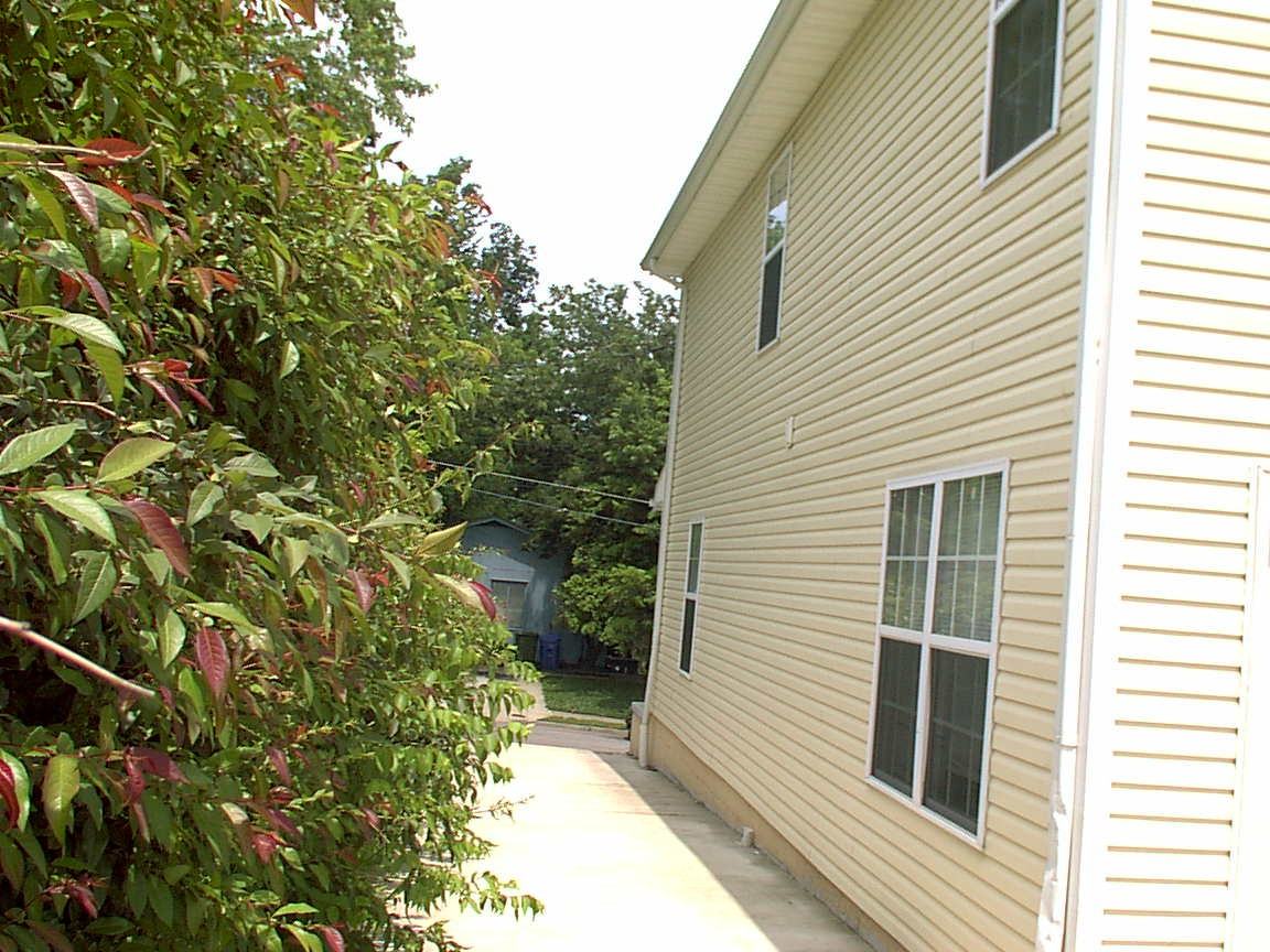 128 Montmullin St #1 - Photo 6 of 9