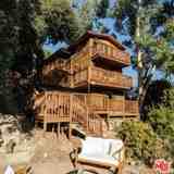 517 Canon View Trl - Photo 1 of 1