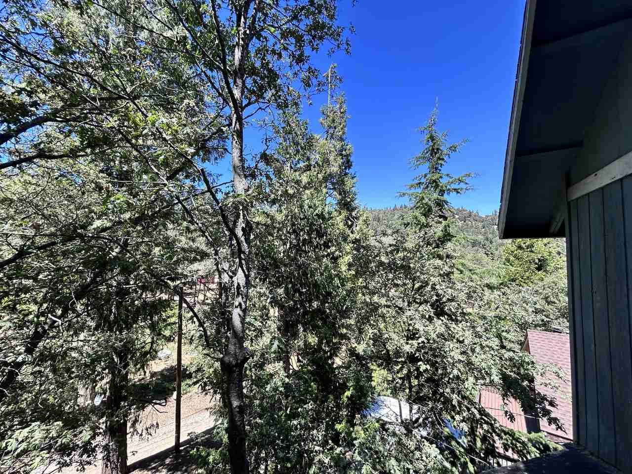 439 Shingle Mill Creek Rd #NA - Photo 7 of 7