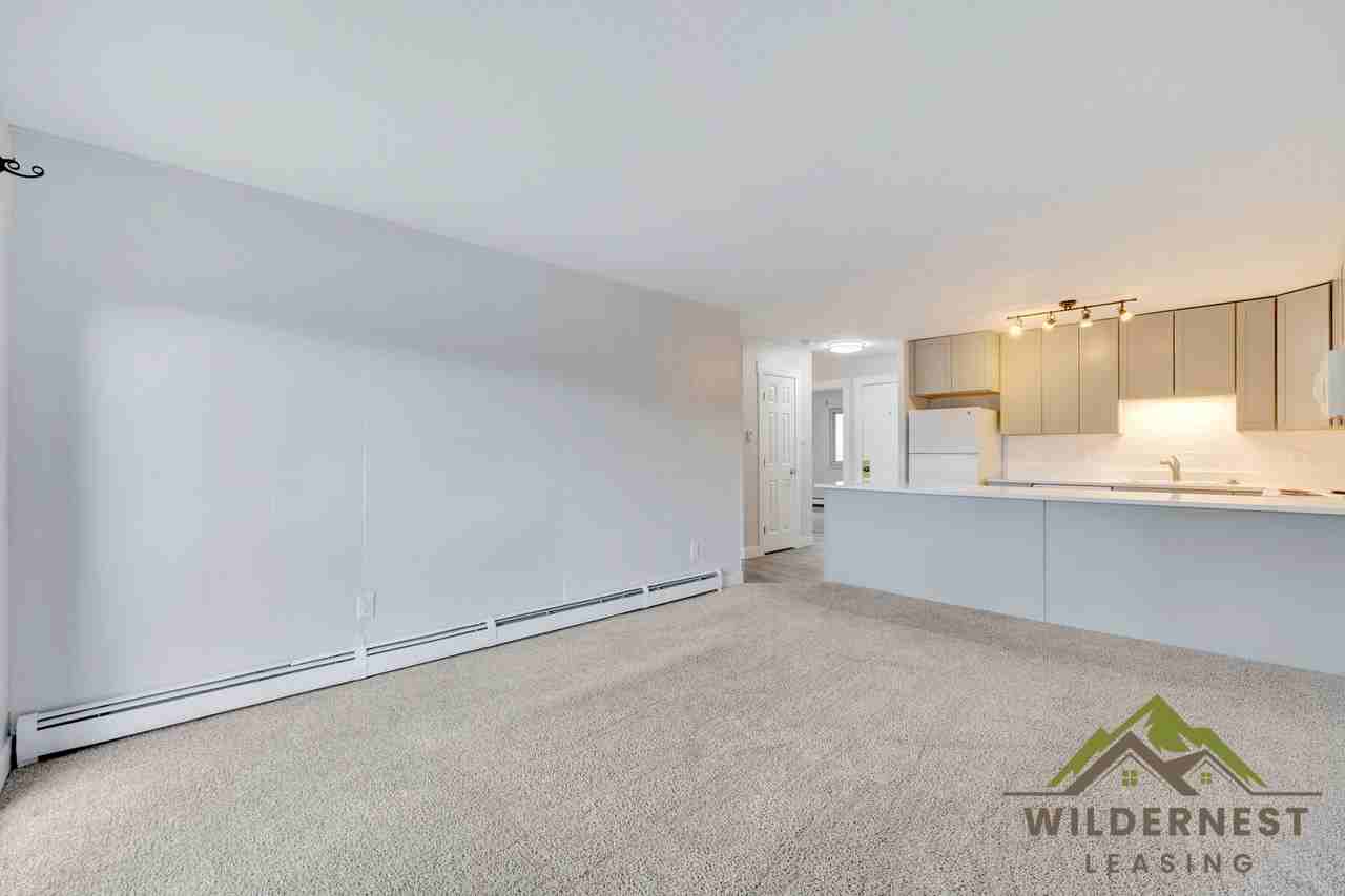 675 Straight Creek Dr - Photo 6 of 24