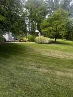 featured image of 366A Delancey Pl