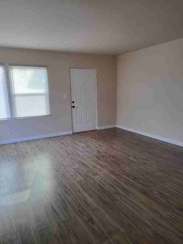 929 Maya St - Photo 7 of 26