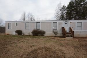 featured image of Wansley 243 D