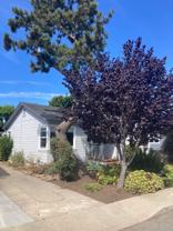715 Gilroy Dr - Photo 1 of 1