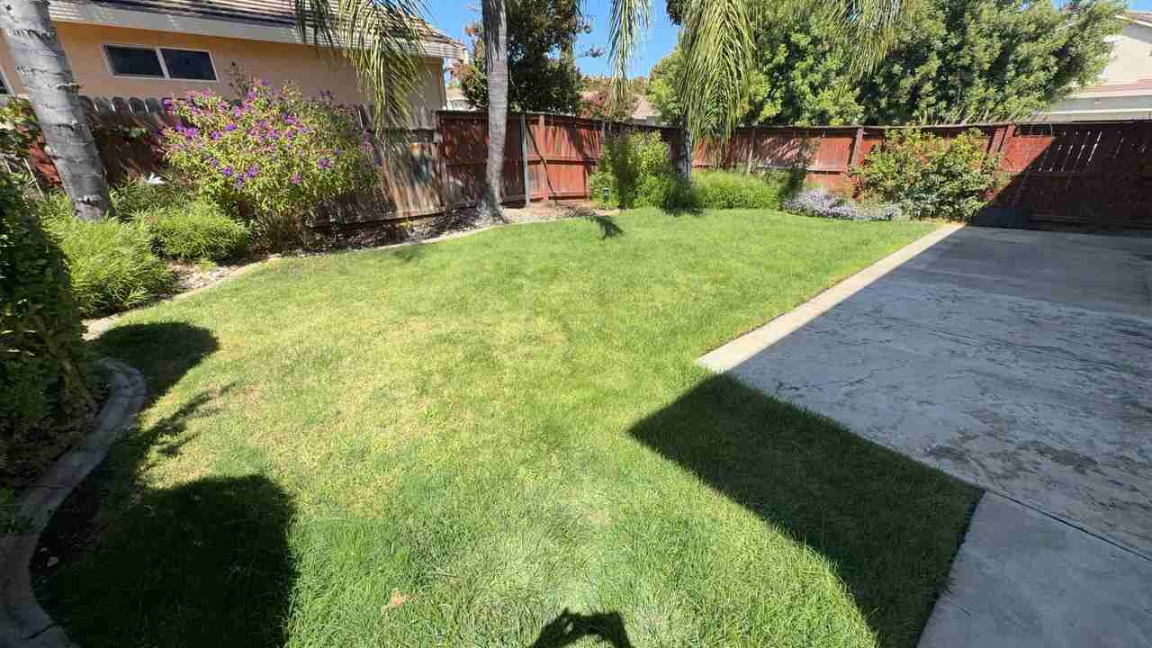 9800 Pipit Way - Photo 6 of 7