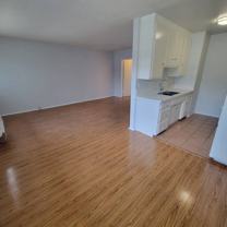 6536 La Mirada Ave #310 - Photo 1 of 1
