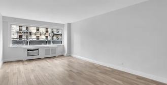 355 E 65th St #16G - Photo 1 of 1