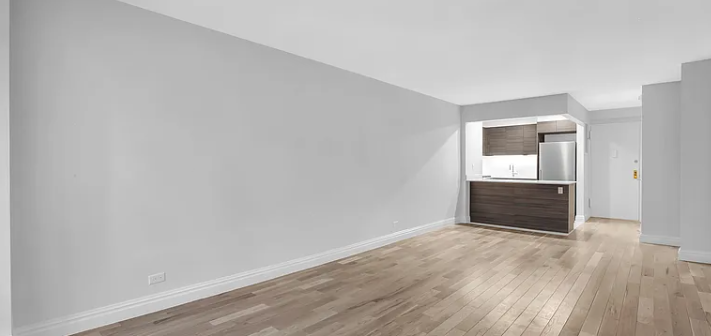 355 E 65th St #16G - Photo 3 of 6