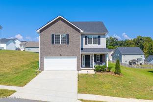 11317 Flame Willow Ln - Photo 1 of 1