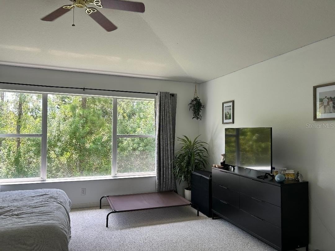 11112 Windsor Place Cir - Photo 4 of 22
